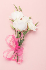 Fototapeta na wymiar white flowers on pink