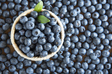 Fresh blueberries
