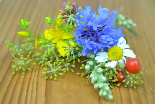 Przytulia Bilder Durchsuchen 67 Archivfotos, und