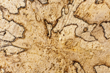 Very Old Wood Background 