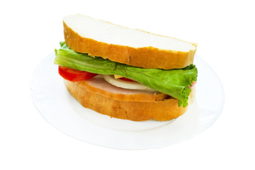 Juicy delicious sandwich  on a plate
