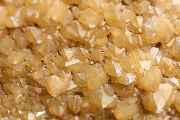 Yellow Cactus Quartz