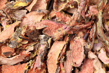 snowdon rose