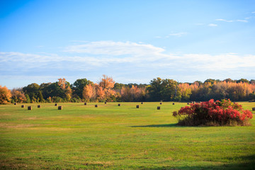 Rural Field With Bales Of Hay In Autumn