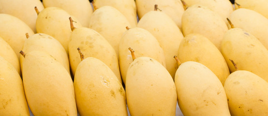 Yellow Mango in Market