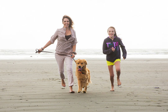 woman and child walking dog at the beach