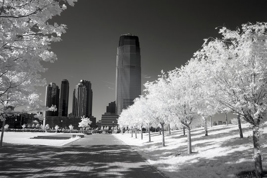 Fototapeta Infrared image of the Liberty Park in NJ