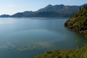 Skadar Lake in Montenegro