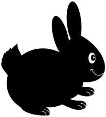 a plush rabbit in shadow