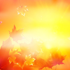 Delicate autumn sun with glare on gold sky.