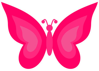 a pink butterfly