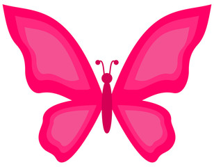 a pink butterfly