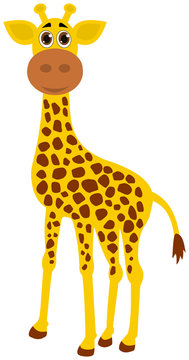 a single giraffe