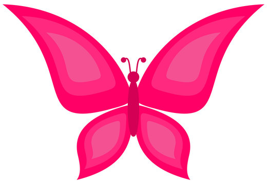 a pink butterfly