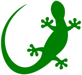 Fototapeta premium a lizard in green shadow