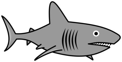 a gray shark swimming