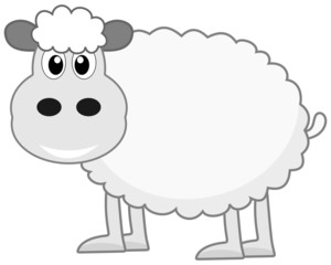 a sheep's profile