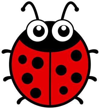 a ladybug with big eyes