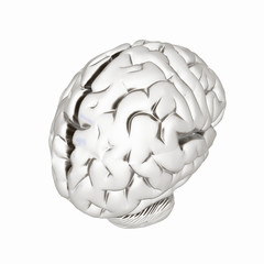 Metall human brain