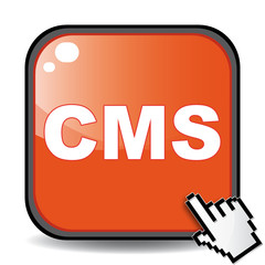 CMS ICON