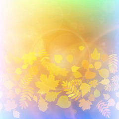 Autumn Colorful red and yellow leaves.