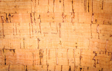 Wooden pith a texture