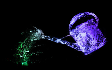 watering can. isolated over black © waltkopp