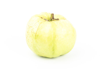 Fresh guava fruit