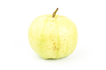 Fresh guava fruit
