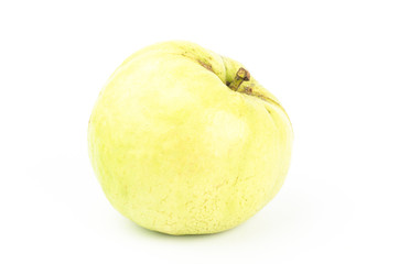Fresh guava fruit