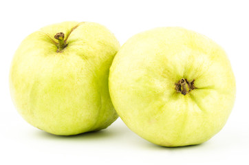 Fresh guava fruit