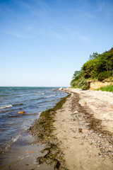 Fototapeta na wymiar Baltic Sea Nature