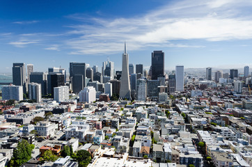 Fototapeta premium San Francisco Downtown