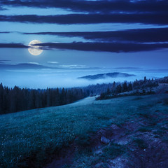 cold fog in mountain forest at night