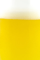 Close up of beer bubbles