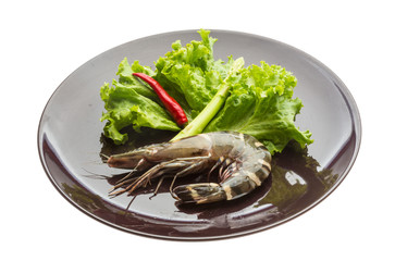 Tiger prawn