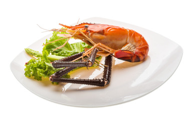 Giant Freshwater Prawn