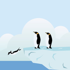 Penguin family