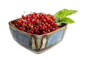 Red currant