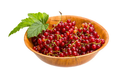 Red currant