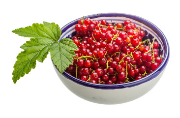 Red currant
