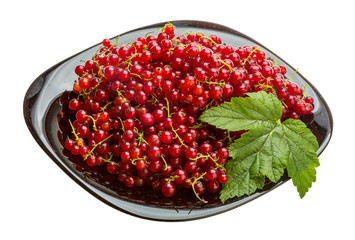 Red currant