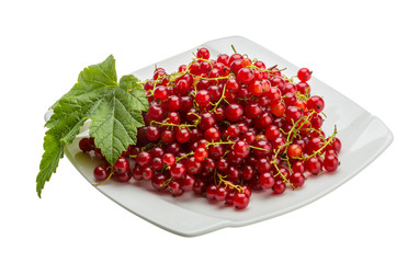 Red currant