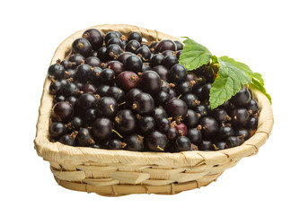 Black currant
