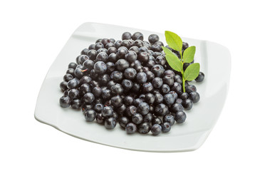 Blueberry