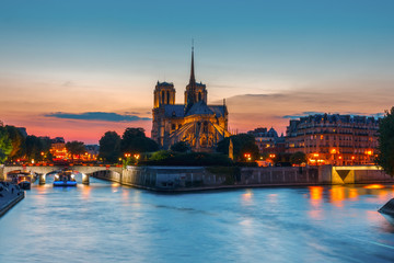 Fototapeta premium Cathedral of Notre Dame de Paris at sunset