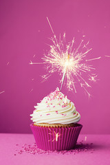 Birthday cupcake with a sparkler