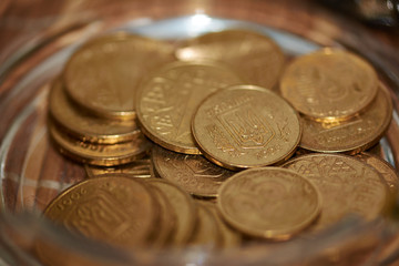 Ukrainian Coins