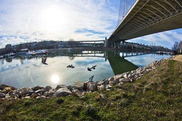 Sunny winter morning under the cable bridge on Sava river