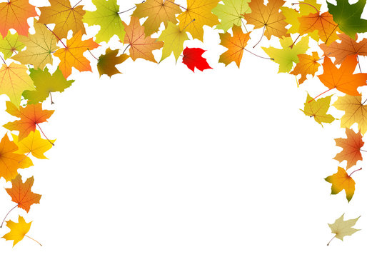 Maple autumn leaves falling border, vector illustration.